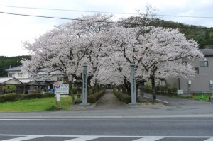 20100401036